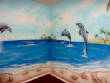 Murals1/dolphins1.jpg